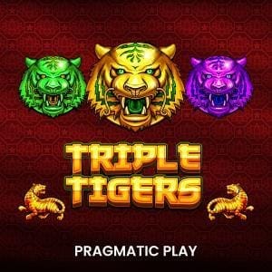 Triple Tigers